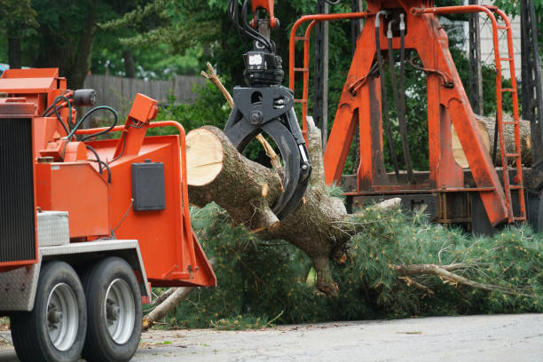 Green Springs, OH  Tree Services Company